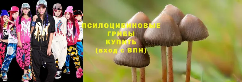 Псилоцибиновые грибы Psilocybine cubensis  Скопин 